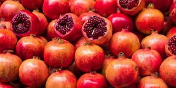 Avec plus de 20 000 tonnes récoltées, Nabeul est en tête de la production nationale de Grenade