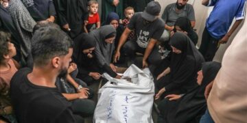 Dans la bande de Gaza, le bilan se rapproche des 44 000 morts