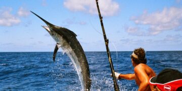 Tunisie: La pêche à l’espadon interdite du 1er janvier au 31 mars 2025