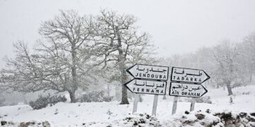 Une vague de froid déferle sur Jendouba alors que le bois de chauffage est hors de prix