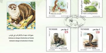 La Poste : Emission de quatre timbres dédiés aux animaux menacés d’extinction en Tunisie
