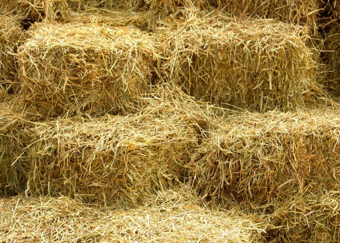 Un incendie à Béjà détruit 8000 bottes de foin