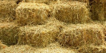 Un incendie à Béjà détruit 8000 bottes de foin