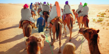 Réveillon 2025: Les hôtels de Kébili ont atteint 100% de taux d’occupation