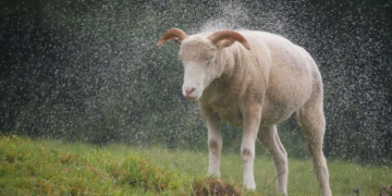 Intempéries: Le ministère de l&rsquo;Agriculture met en garde les agriculteurs et pêcheurs