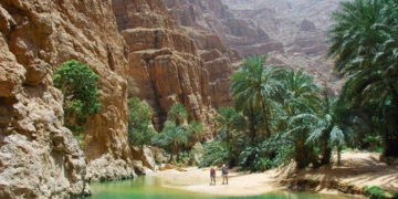 Tozeur: Les indicateurs touristiques sont au vert