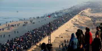 Environ 300 000 déplacés sont rentrés dans le nord de la bande de Gaza