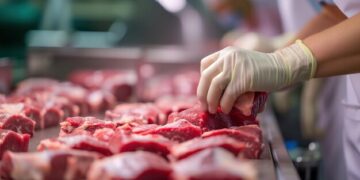 Baisse de consommation, abattoirs sans certification sanitaire…  La viande rouge n’a pas la côte
