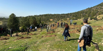 Lutte contre la déforestation: Perenco Tunisie lance la deuxième phase de son programme de reboisement