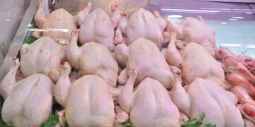 Ramadan: Maintien du plafonnement des prix de la volaille