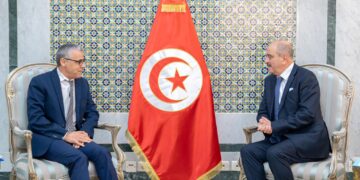 Le retour volontaire des migrants au centre d&rsquo;une rencontre entre Mohamed Ali Nafti et l’OIM