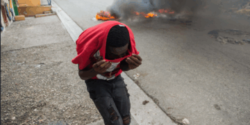 «Haïti est en train de mourir »