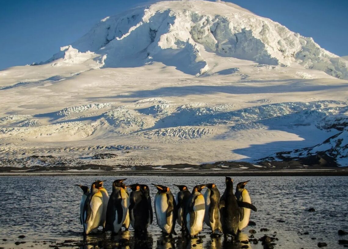 Trump impose des droits de douane à des îles uniquement peuplées de pingouins