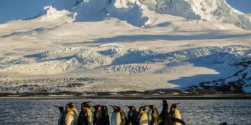 Trump impose des droits de douane à des îles uniquement peuplées de pingouins