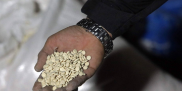 Trafic de drogue: Quatre millions de pilules de captagon saisies en Syrie