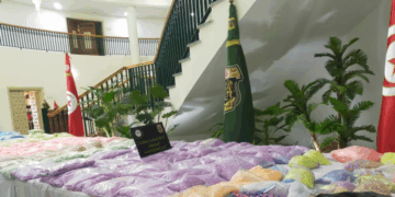 Plus d’un million de comprimés: Saisie record d’ecstasy à Nabeul