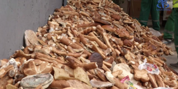 Gaspillage alimentaire: 900 000 pains jetés quotidiennement en Tunisie