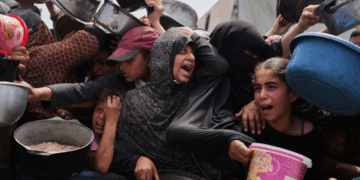 Témoignage d&rsquo;une représentante de l&rsquo;ONU: « La population de Gaza en est réduite à se battre pour obtenir des vivres et de l’eau »