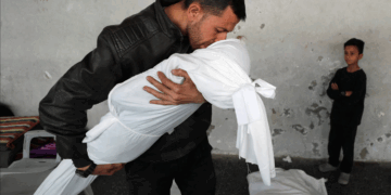 Les actes israéliens à Gaza « vont dans le sens d’un nettoyage ethnique et d’un génocide », dénonce le Conseil de l’Europe 
