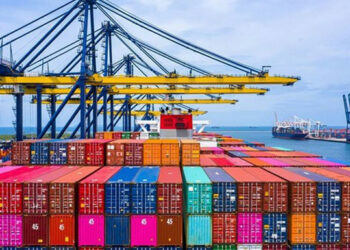 Merci l’huile d’olive: Les exportations tunisiennes vers le Brésil atteignent 137 MDT