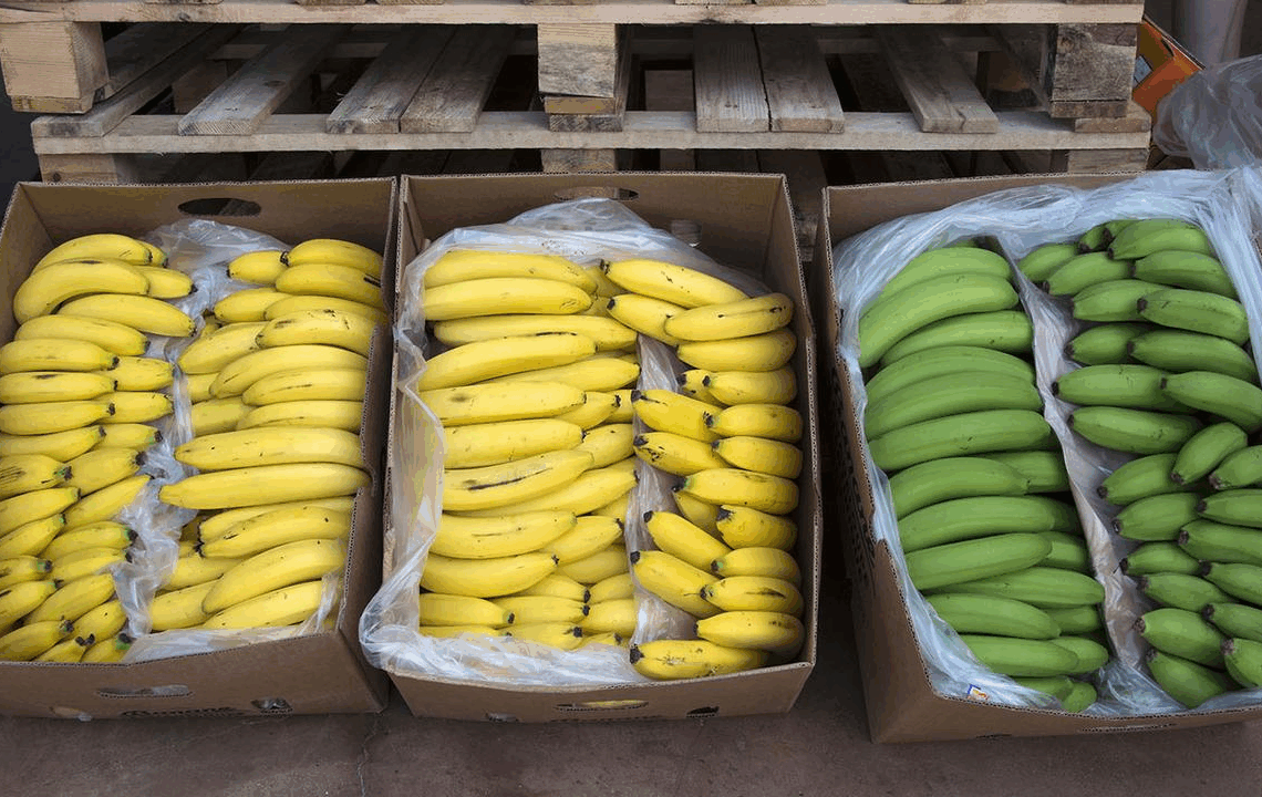 Nabeul : Saisie de 450 000 dinars de bananes