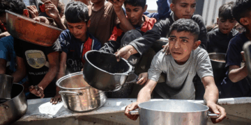 Le Conseil de l’Europe dénonce « une famine délibérée » dans la bande de Gaza