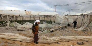 « Effondrement du système alimentaire »: Avec la guerre, moins de 5 % des terres agricoles sont utilisables à Gaza