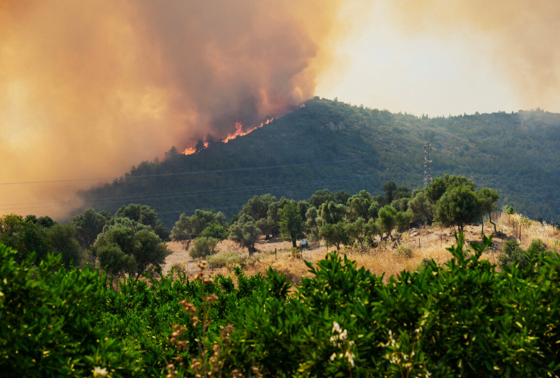 Turquie : 50.000 personnes évacuées en raison des incendies