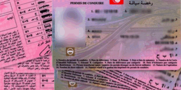 Dès le 20 juillet: Les permis tunisiens reconnus officiellement en Italie