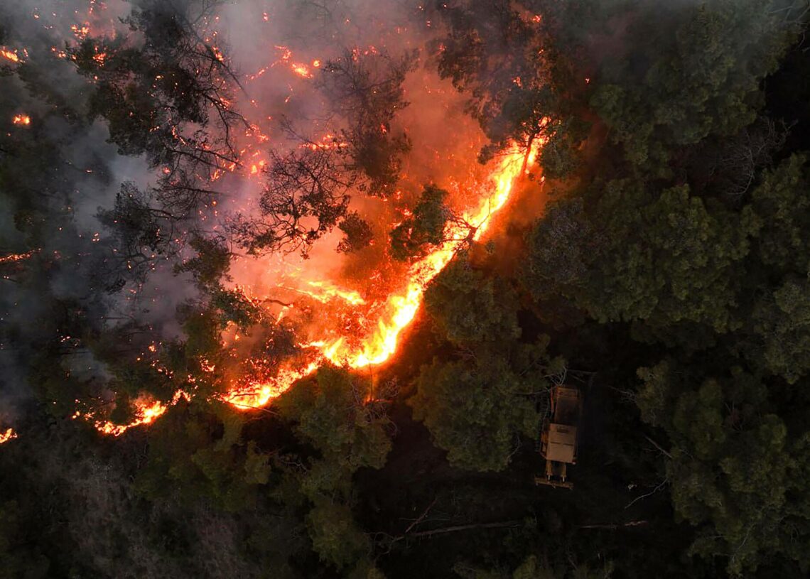 Syrie: De violents incendies ravagent la province de Lattaquié