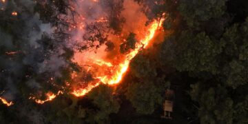Syrie: De violents incendies ravagent la province de Lattaquié