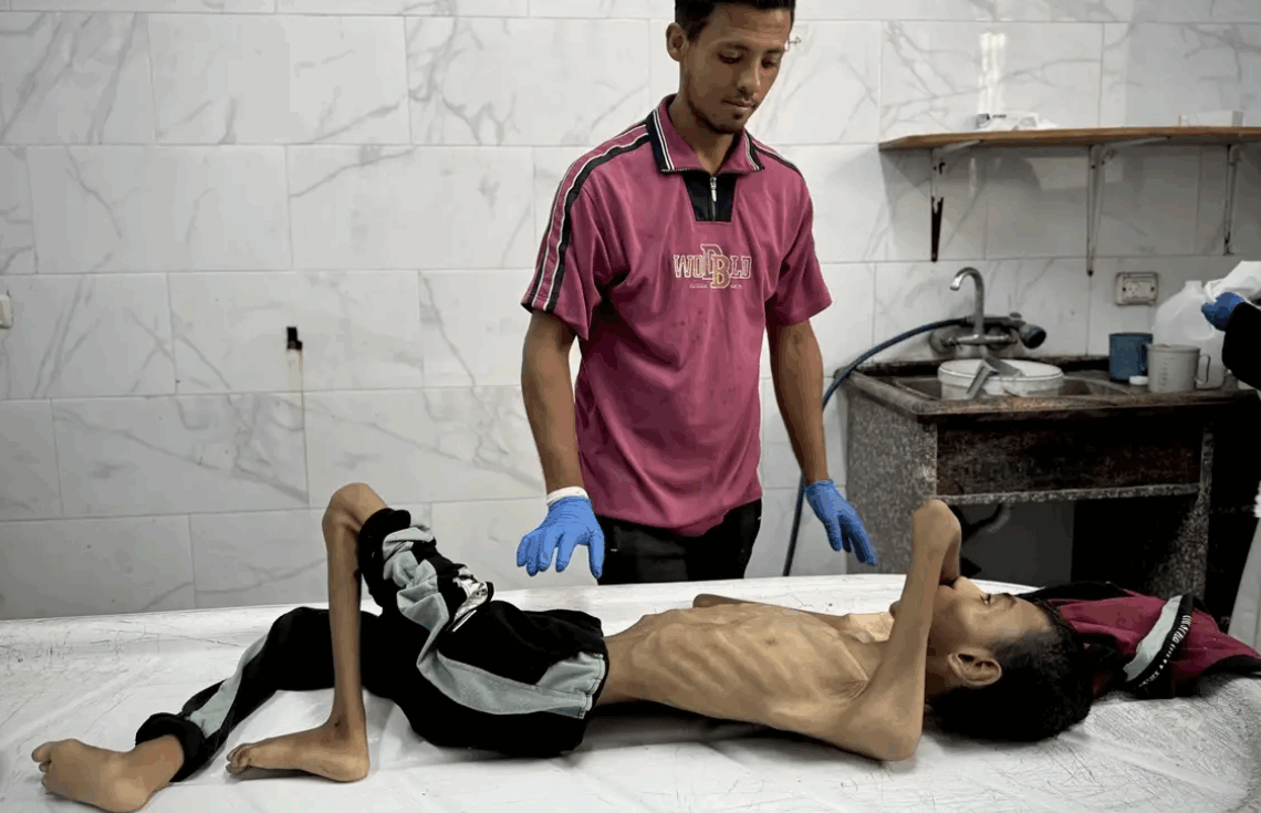 « Une famine de masse se propage dans la bande de Gaza », alertent des ONG, dont Médecins sans frontière, Médecins du Monde et Oxfam