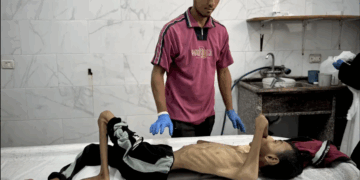« Une famine de masse se propage dans la bande de Gaza », alertent des ONG, dont Médecins sans frontière, Médecins du Monde et Oxfam