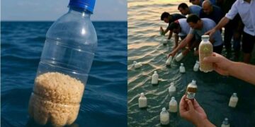 Les tunisiens appelés à faire de même: En Egypte, des bouteilles de riz sont jetées à la mer dans l&rsquo;espoir qu&rsquo;elles atteignent Gaza