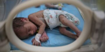 Les “bébés fantômes” de Gaza: 10.000 nouveau-nés privés d&rsquo;une existence légale selon l’ONU