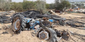 Seulement 1,5 % des terres agricoles sont encore utilisables à Gaza, selon la FAO