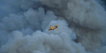 Un incendie détruit 11 000 hectares dans le sud de la France