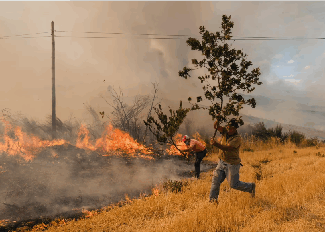L’incendie maîtrisé: Un feu de forêt ravage une surface record de 64 000 hectares au Portugal