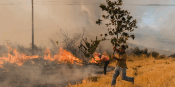 L’incendie maîtrisé: Un feu de forêt ravage une surface record de 64 000 hectares au Portugal
