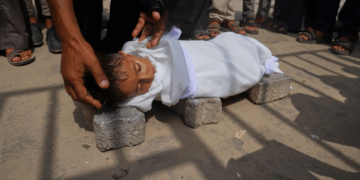 En 24 heures, 11 personnes sont mortes de faim à Gaza