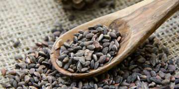 Mouled: Saisie de 15 tonnes de zgougou impropres à la consommation