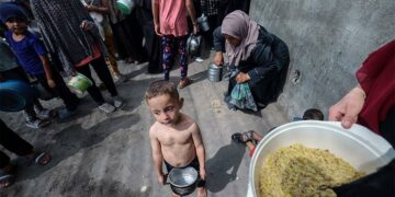 L&rsquo;ONU qualifie de «farce» l&rsquo;idée d&rsquo;une zone de sécurité dans le sud de Gaza