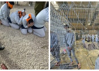 « Exécutions sommaires et torture »: 135 corps de Palestiniens rapatriés à Gaza provenaient du centre de détention de Sde Teiman