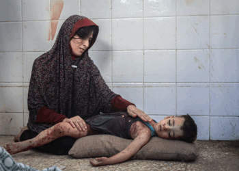 Prix Bayeux des correspondants de guerre : le 1er prix photo décerné au   photojournaliste palestinien Saher Alghorra
