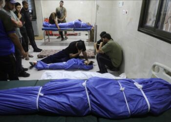 Malgré le cessez-le-feu : au moins 345 Palestiniens tués depuis le 11 octobre à Gaza