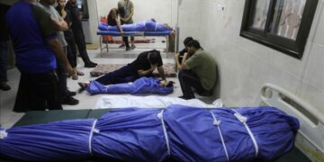 Malgré le cessez-le-feu : au moins 345 Palestiniens tués depuis le 11 octobre à Gaza