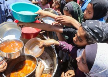 ONU: Un million de Gazaouis ont reçu de l’aide alimentaire depuis le début du cessez-le-feu