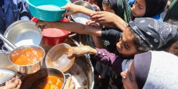 ONU: Un million de Gazaouis ont reçu de l’aide alimentaire depuis le début du cessez-le-feu
