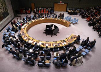 Le plan Trump adopté: Le Conseil de sécurité de l&rsquo;ONU vote pour une force internationale à Gaza