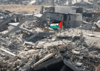 Gaza: Israël a commis plus de 194 violations du cessez-le-feu, tuant 250 personnes depuis le 10 octobre